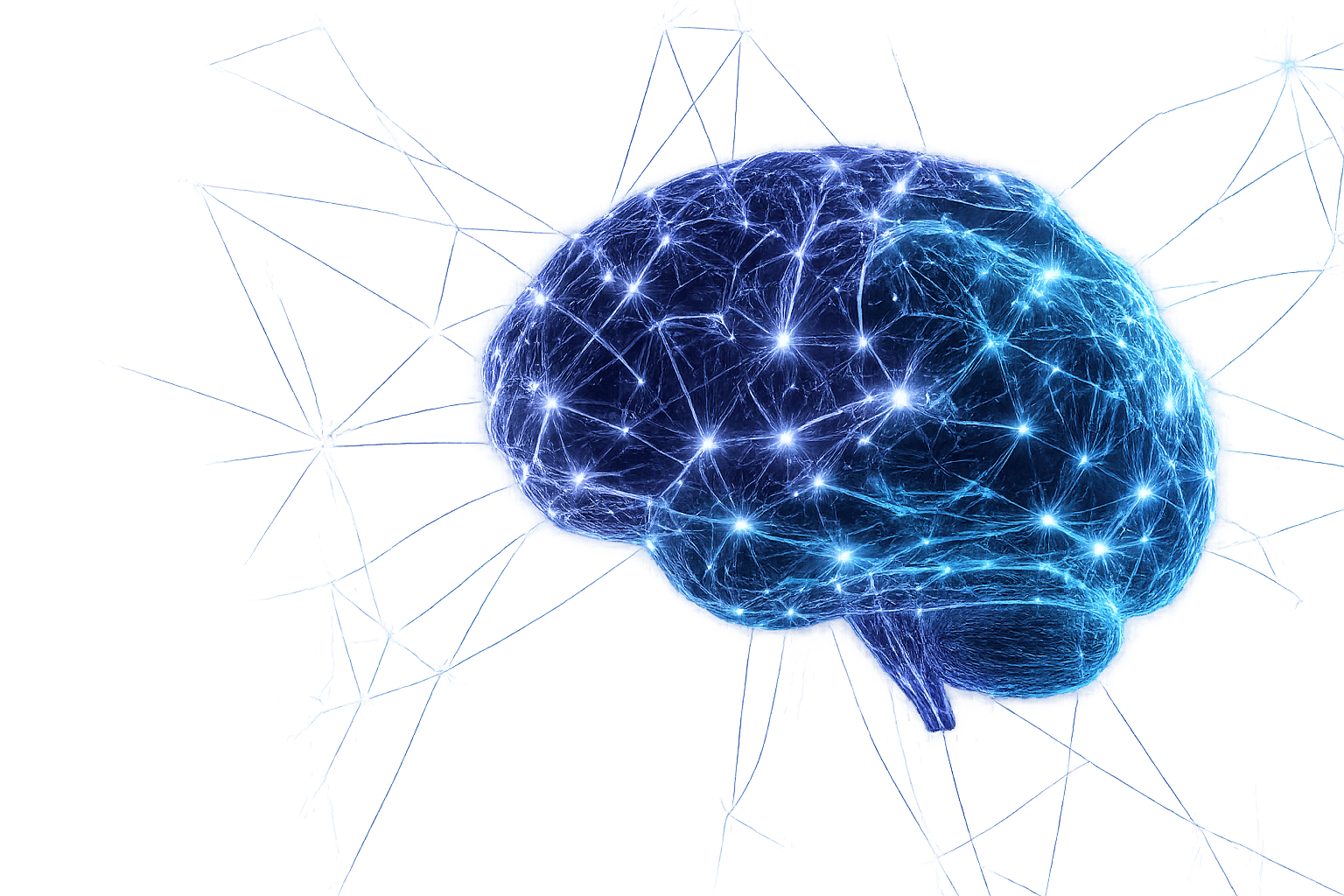 Neural Brain